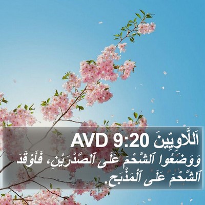اَللَّاوِيِّينَ 9:20 AVD Bible Verse Image