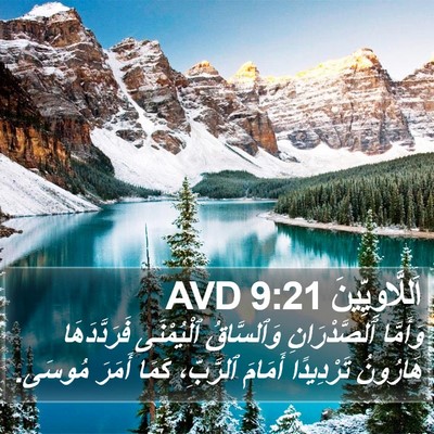 اَللَّاوِيِّينَ 9:21 AVD Bible Verse Image
