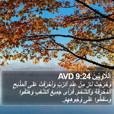 اَللَّاوِيِّينَ 9:24 AVD Bible Verse Image