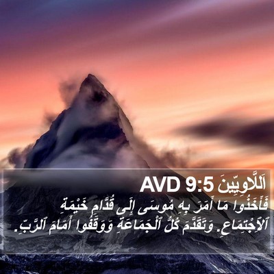 اَللَّاوِيِّينَ 9:5 AVD Bible Verse Image