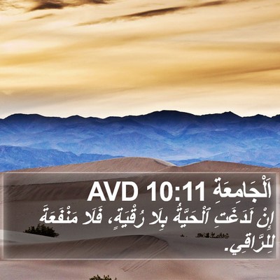 اَلْجَامِعَةِ 10:11 AVD Bible Verse Image
