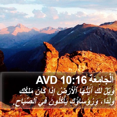 اَلْجَامِعَةِ 10:16 AVD Bible Verse Image