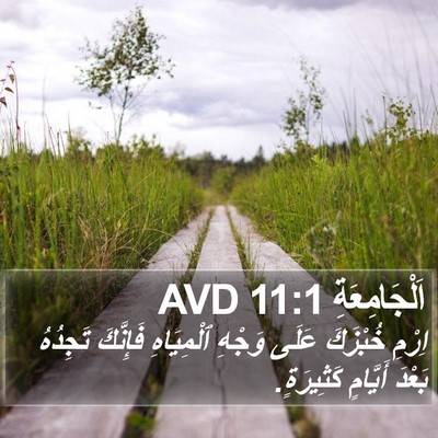 اَلْجَامِعَةِ 11:1 AVD Bible Verse Image