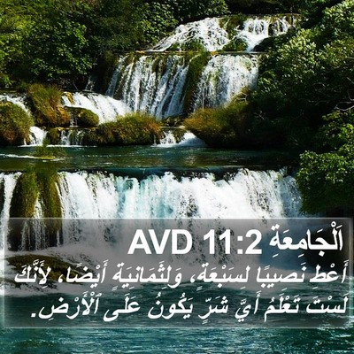 اَلْجَامِعَةِ 11:2 AVD Bible Verse Image