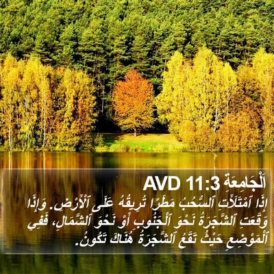 اَلْجَامِعَةِ 11:3 AVD Bible Verse Image