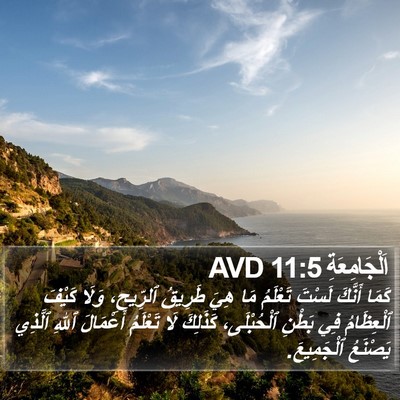 اَلْجَامِعَةِ 11:5 AVD Bible Verse Image