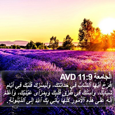 اَلْجَامِعَةِ 11:9 AVD Bible Verse Image