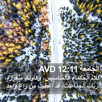 اَلْجَامِعَةِ 12:11 AVD Bible Verse Image