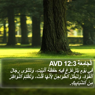اَلْجَامِعَةِ 12:3 AVD Bible Verse Image