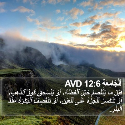 اَلْجَامِعَةِ 12:6 AVD Bible Verse Image