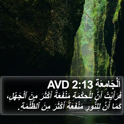 اَلْجَامِعَةِ 2:13 AVD Bible Verse Image