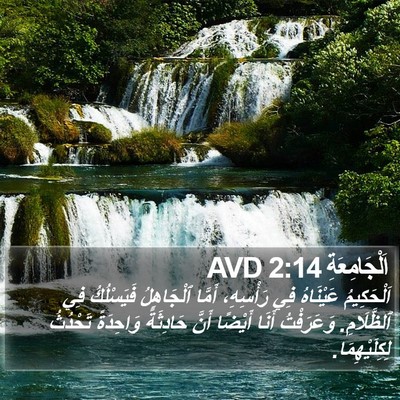 اَلْجَامِعَةِ 2:14 AVD Bible Verse Image