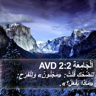اَلْجَامِعَةِ 2:2 AVD Bible Verse Image