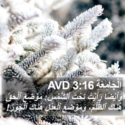اَلْجَامِعَةِ 3:16 AVD Bible Verse Image