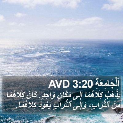 اَلْجَامِعَةِ 3:20 AVD Bible Verse Image