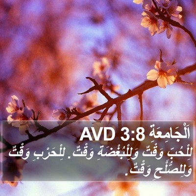 اَلْجَامِعَةِ 3:8 AVD Bible Verse Image