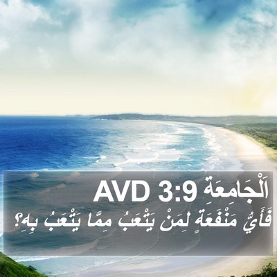 اَلْجَامِعَةِ 3:9 AVD Bible Verse Image