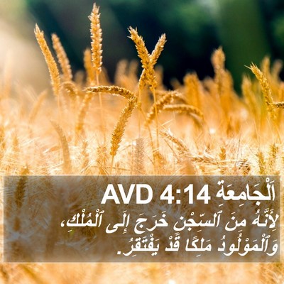 اَلْجَامِعَةِ 4:14 AVD Bible Verse Image