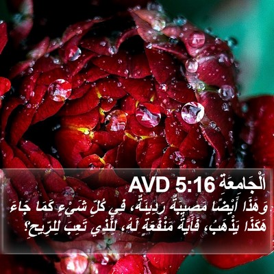 اَلْجَامِعَةِ 5:16 AVD Bible Verse Image