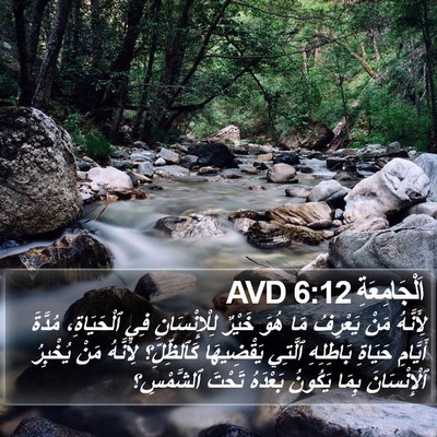 اَلْجَامِعَةِ 6:12 AVD Bible Verse Image