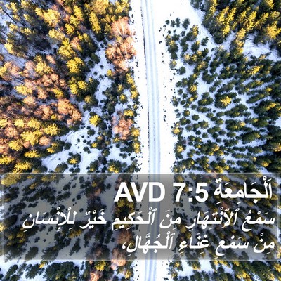 اَلْجَامِعَةِ 7:5 AVD Bible Verse Image