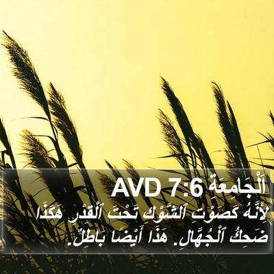 اَلْجَامِعَةِ 7:6 AVD Bible Verse Image