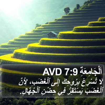اَلْجَامِعَةِ 7:9 AVD Bible Verse Image
