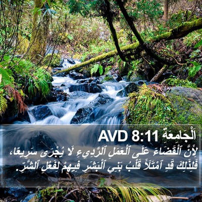 اَلْجَامِعَةِ 8:11 AVD Bible Verse Image