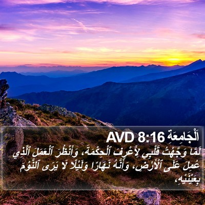 اَلْجَامِعَةِ 8:16 AVD Bible Verse Image