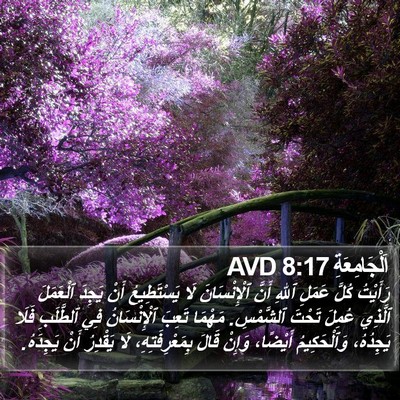 اَلْجَامِعَةِ 8:17 AVD Bible Verse Image