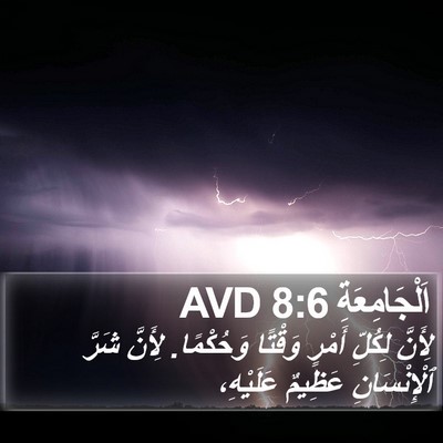 اَلْجَامِعَةِ 8:6 AVD Bible Verse Image