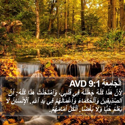 اَلْجَامِعَةِ 9:1 AVD Bible Verse Image
