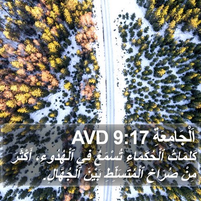 اَلْجَامِعَةِ 9:17 AVD Bible Verse Image