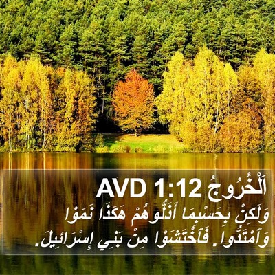 اَلْخُرُوجُ 1:12 AVD Bible Verse Image