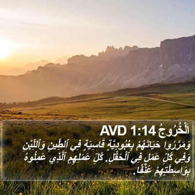 اَلْخُرُوجُ 1:14 AVD Bible Verse Image