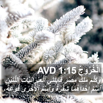 اَلْخُرُوجُ 1:15 AVD Bible Verse Image