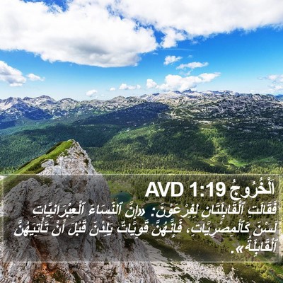 اَلْخُرُوجُ 1:19 AVD Bible Verse Image