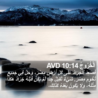 اَلْخُرُوجُ 10:14 AVD Bible Verse Image