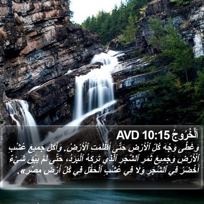 اَلْخُرُوجُ 10:15 AVD Bible Verse Image
