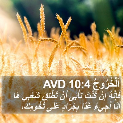 اَلْخُرُوجُ 10:4 AVD Bible Verse Image