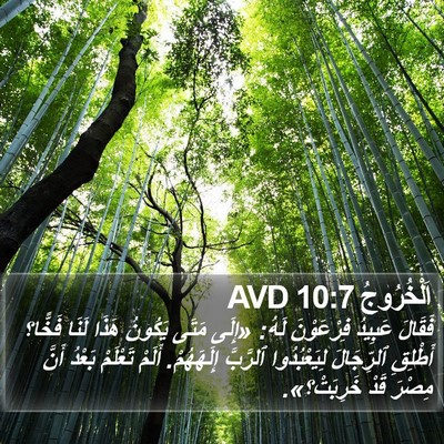 اَلْخُرُوجُ 10:7 AVD Bible Verse Image