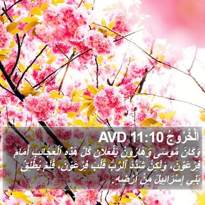 اَلْخُرُوجُ 11:10 AVD Bible Verse Image