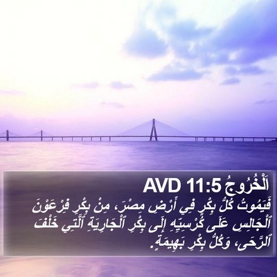 اَلْخُرُوجُ 11:5 AVD Bible Verse Image