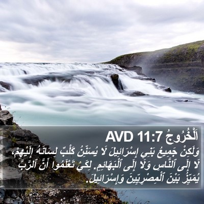اَلْخُرُوجُ 11:7 AVD Bible Verse Image