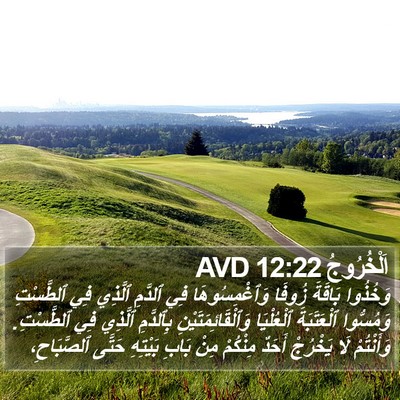 اَلْخُرُوجُ 12:22 AVD Bible Verse Image
