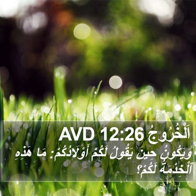 اَلْخُرُوجُ 12:26 AVD Bible Verse Image
