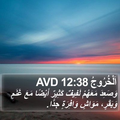 اَلْخُرُوجُ 12:38 AVD Bible Verse Image