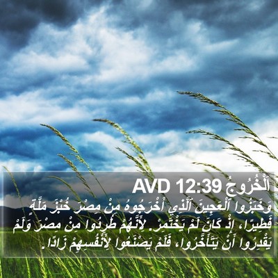 اَلْخُرُوجُ 12:39 AVD Bible Verse Image