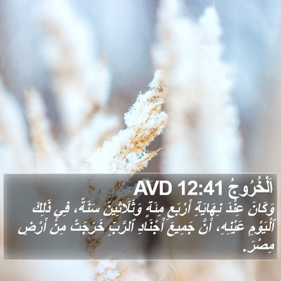 اَلْخُرُوجُ 12:41 AVD Bible Verse Image