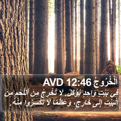 اَلْخُرُوجُ 12:46 AVD Bible Verse Image